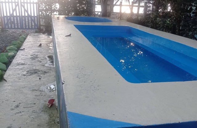 House coral beach hostel, in front of the caribbean sea, hammock area, swimming pool, bar, restaurant, bar, restaurant.