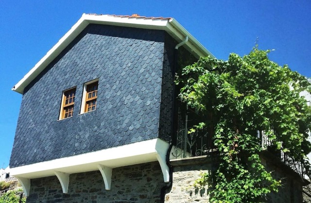 House Foz do Corgo Rustic