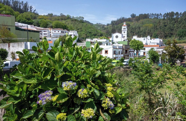 House La cabaña Galdar