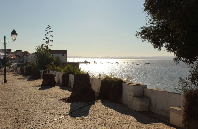 House MIA- A place to rest