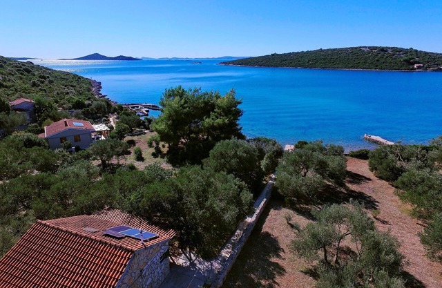 House Olive Tree (14641-K1) - Tkon - island Pasman