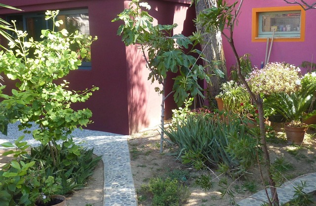 House with caractere and garden