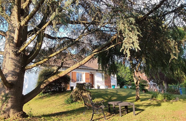 House with garden 1000m2