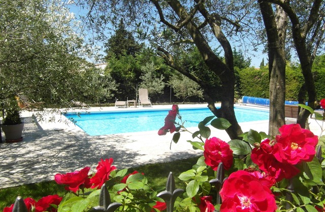 HOUSE WITH SWIMMING POOL GARDEN and organic vegetable garden VAUCLUSE