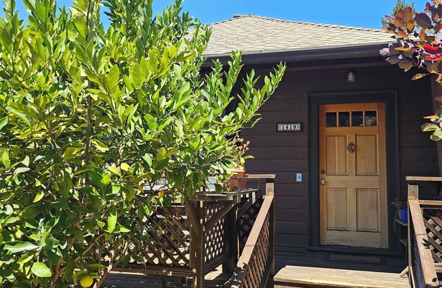 Hummingbird Hideaway: Steps to Gourmet Ghetto & UC Berkeley