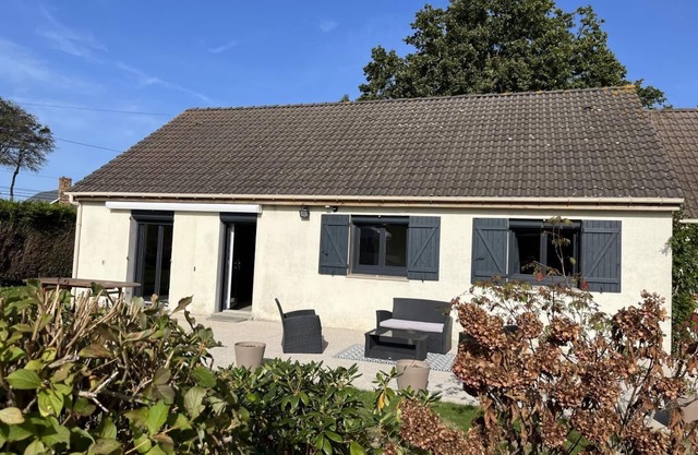 Hydrangeas - ST LEONARD