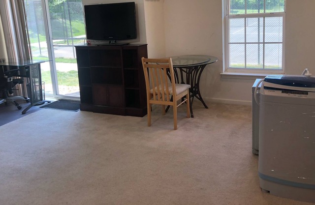 IAD/Corporate Housing/1st Fl. Large Studio Apt./60D
