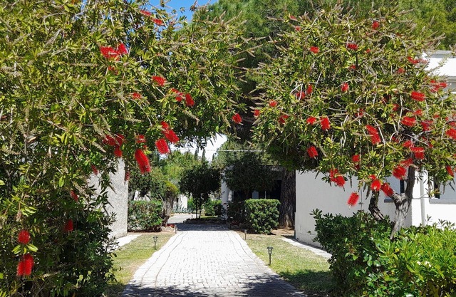 Ibiscus Beach Village