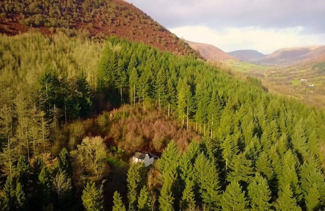 Idyllic Romantic Forest Retreat