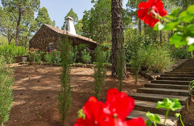Idyllic volcanic stone chalet in a pine grove on the edge of the national park