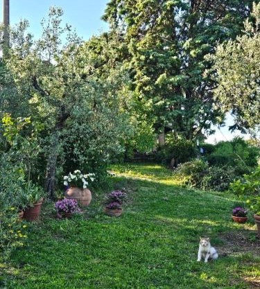 Il casaletto di Simeone