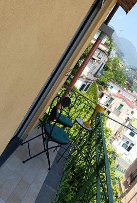 Il giardino dei limoni