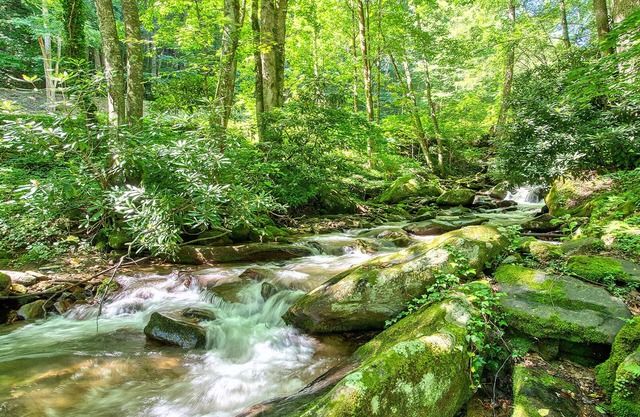 Immerse Yourself with Calming Sounds of the Creek. Your Perfect Hideaway Awaits!