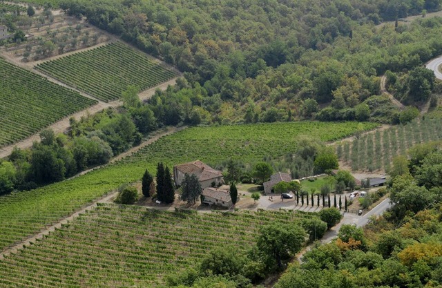 In the heart of Chianti: view over the valley, relaxation & art, wine & sun