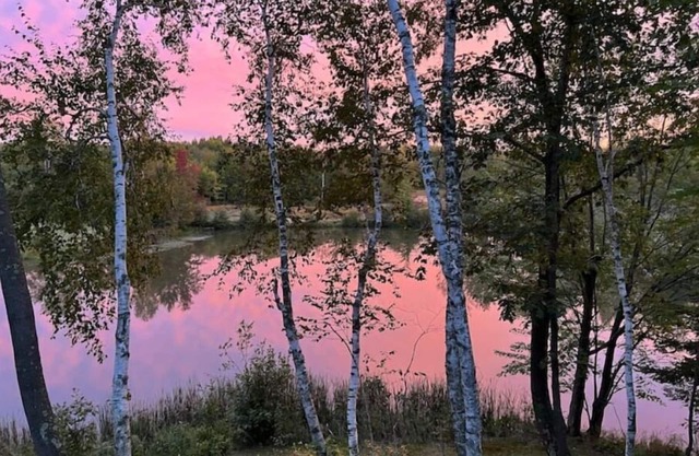 In the heart of nature! Romantic getaway!