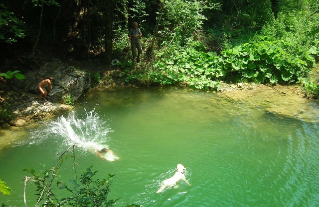 In typical farmhouse in the green with swimming pool, on the border with Tuscany and Lazio 1