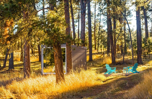 Industrial micro cabin in the forest