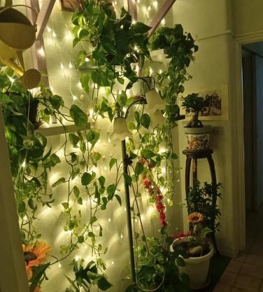 INTERO APPARTAMENTO catania policlinico