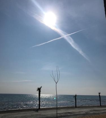 ioanikos sunshine