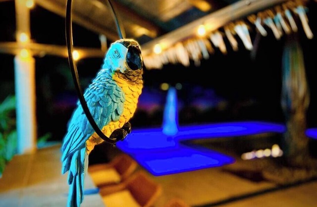 Island Breeze - Tiki Bar/Pool/Spa/Sleeps 10