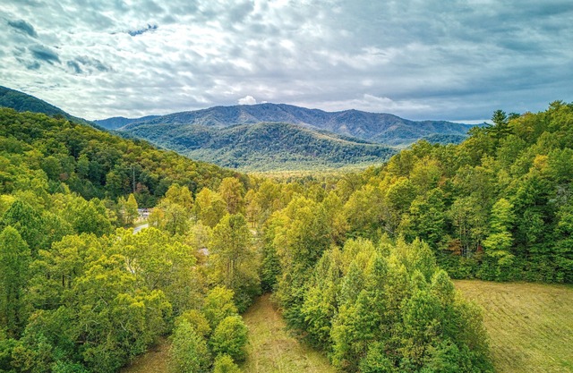 Ivy's Cottage, Pickleball Court, Creek, WIFI, Mountain Views, Starting at $79"