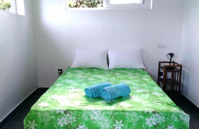 Jambolana Studio