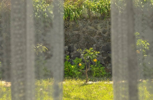 Jeju Pyeongdae 41street Pension