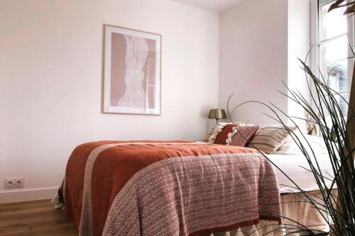 Joffre beautiful apartment in the city center