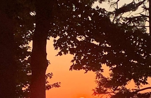 JOLLI-LODGE~Beach Resort in Leland