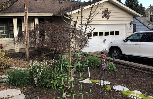 July and August Rental. College Hill/Friendly Neighborhood. 4 bedroom 3 bath