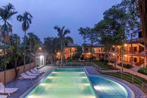 Jungle Safari Lodge- Serenity in the Wild