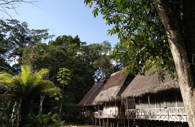 Jungle Wolf Expeditions