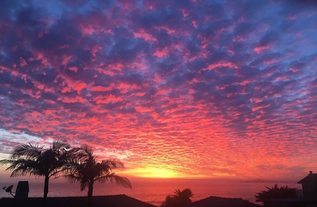 Just 1 House to Beach, Views, Kid&Dog Friendly, New W/Ds& Spa,4+Kings,GatedParkg