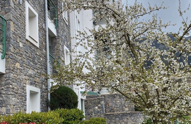 Kalavrita Luxurious Apartments