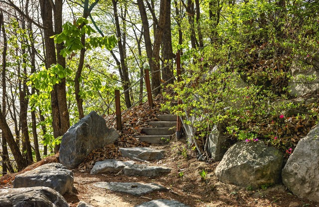 Kensington Resort Chungju