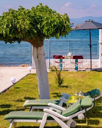 Kiko, the Coastline house