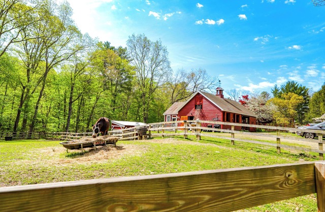 Killingly Barnyard Studio in Wine Country!