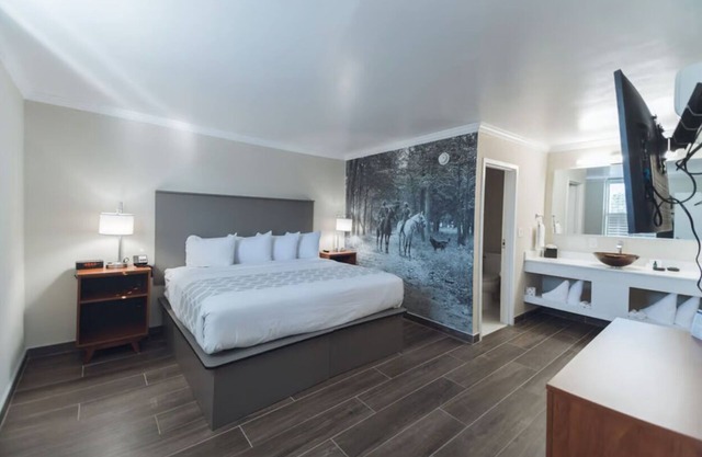 King Suite at Equus Inn, Pet-friendly, Free Parking and Breakfast