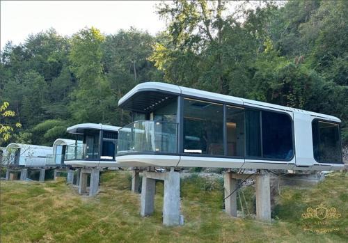 Kings Lodge and Resort