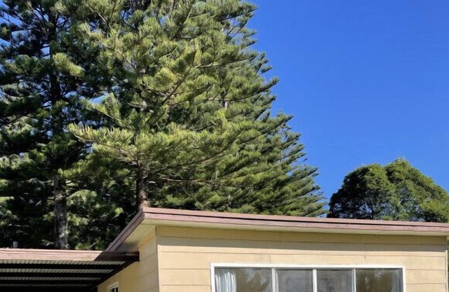 Kioloa Beach Cabins 1