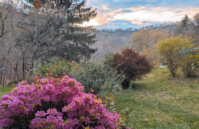 Knight's View & Bear Den Townhouse