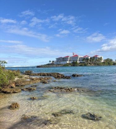 L'Amandier de Suzana - Plage intimiste juste en face