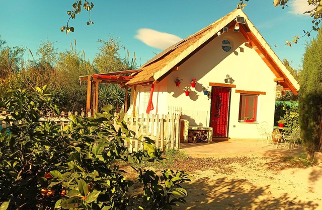 La Barraca de Ro - House in the orchard of Murcia with pool and garden.