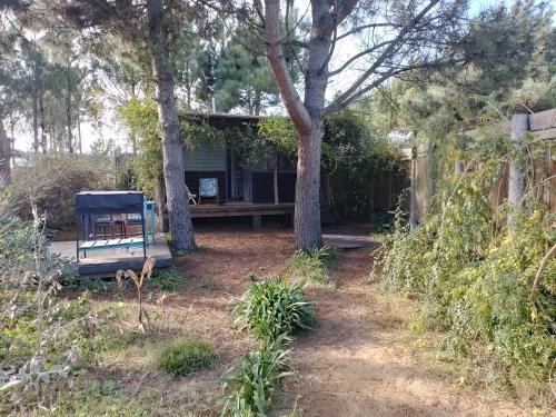 la cabanita pinamar
