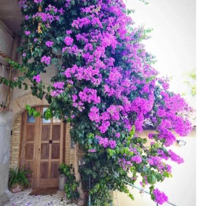 La Cantina: cosy stylish vaults