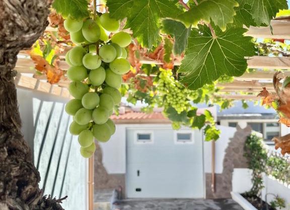La Casita de la Parra, El Hierro