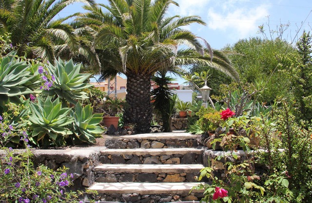 La Gomera - Jardin de Aridane