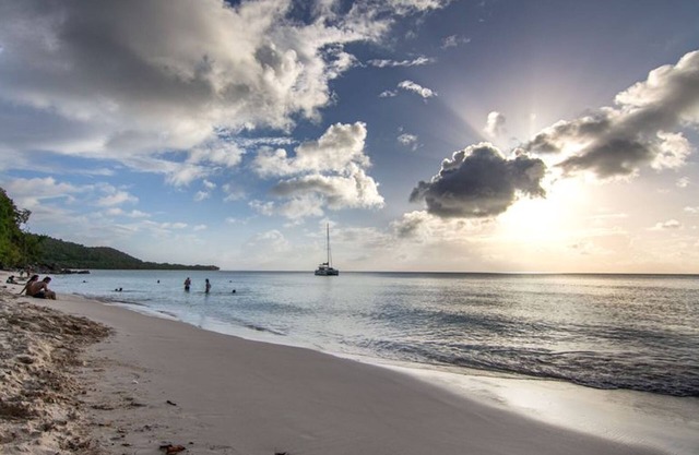 La Tourterelle Rose 'the Pink Dove'