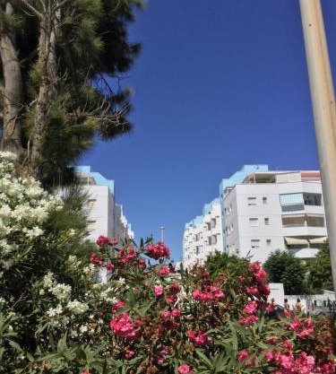 La Perla Azul Playa - Terraza al Sol