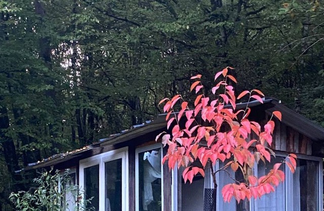 La Verrière au Milieu du Verger